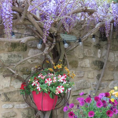 La Maison Wisteria Saint-Pantaléon-les-Vignes Esterno foto